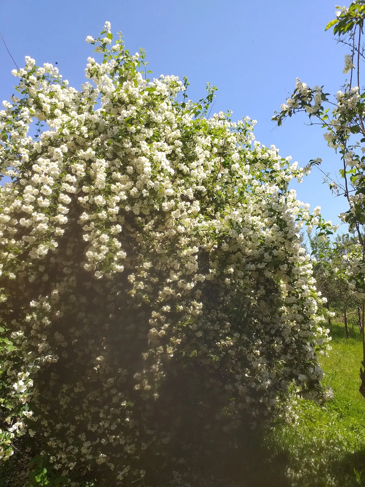 Fotografija lokacije Općina Breznica (Općina).