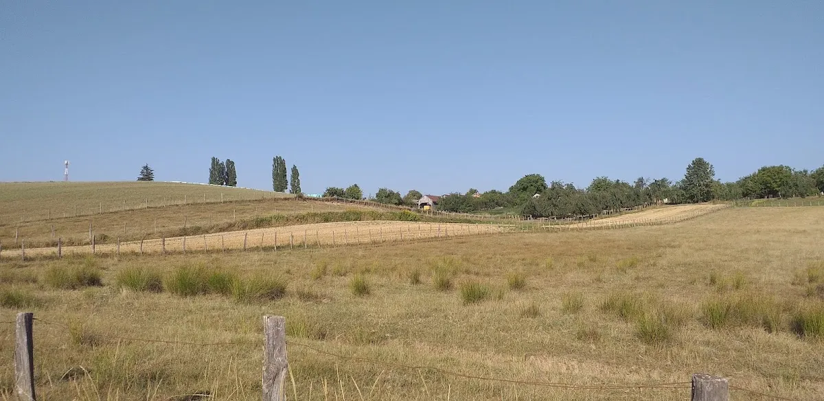 Fotografija lokacije Općina Dežanovac (Općina).