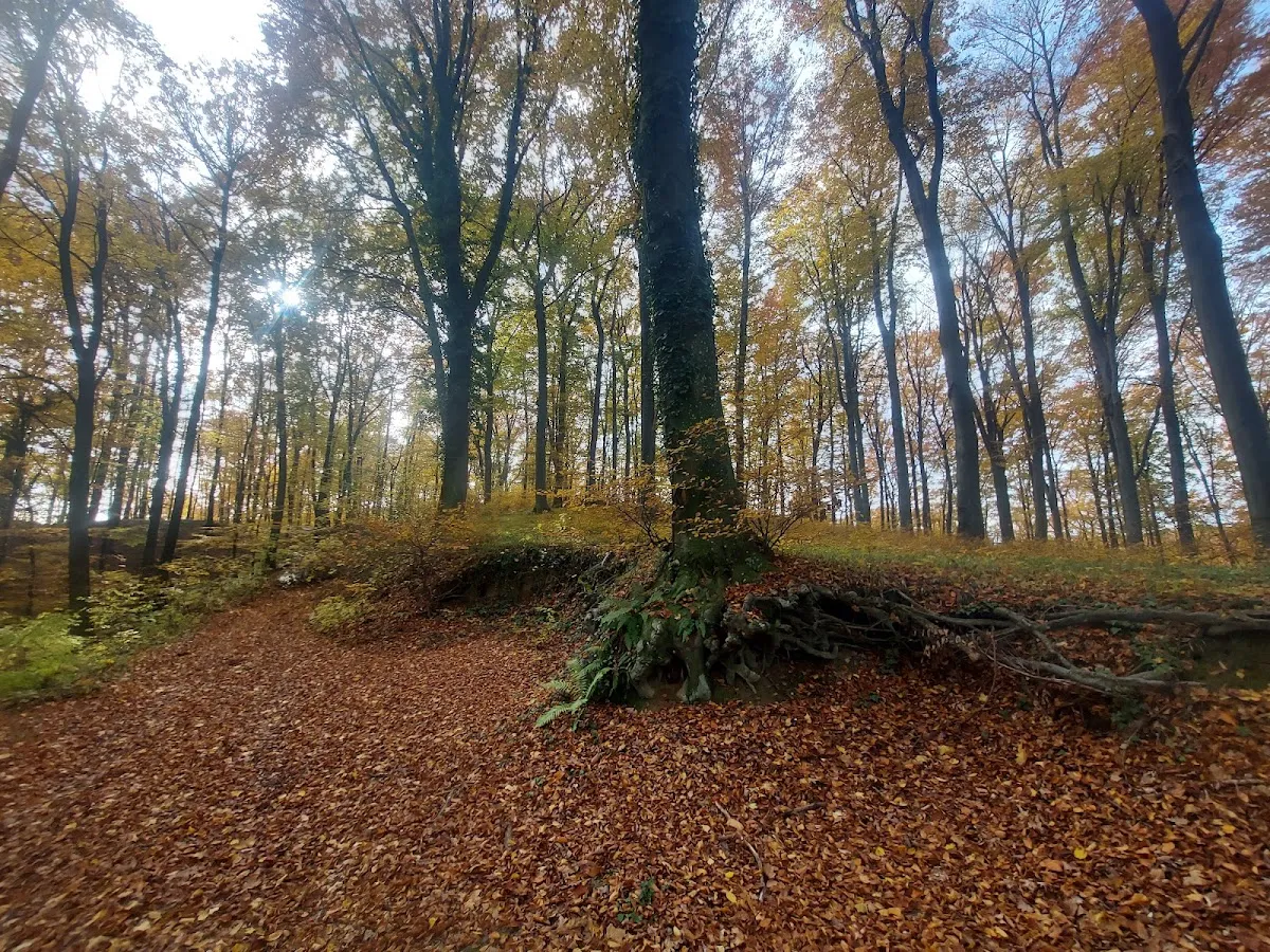 Fotografija lokacije Općina Koprivnički Bregi (Općina).
