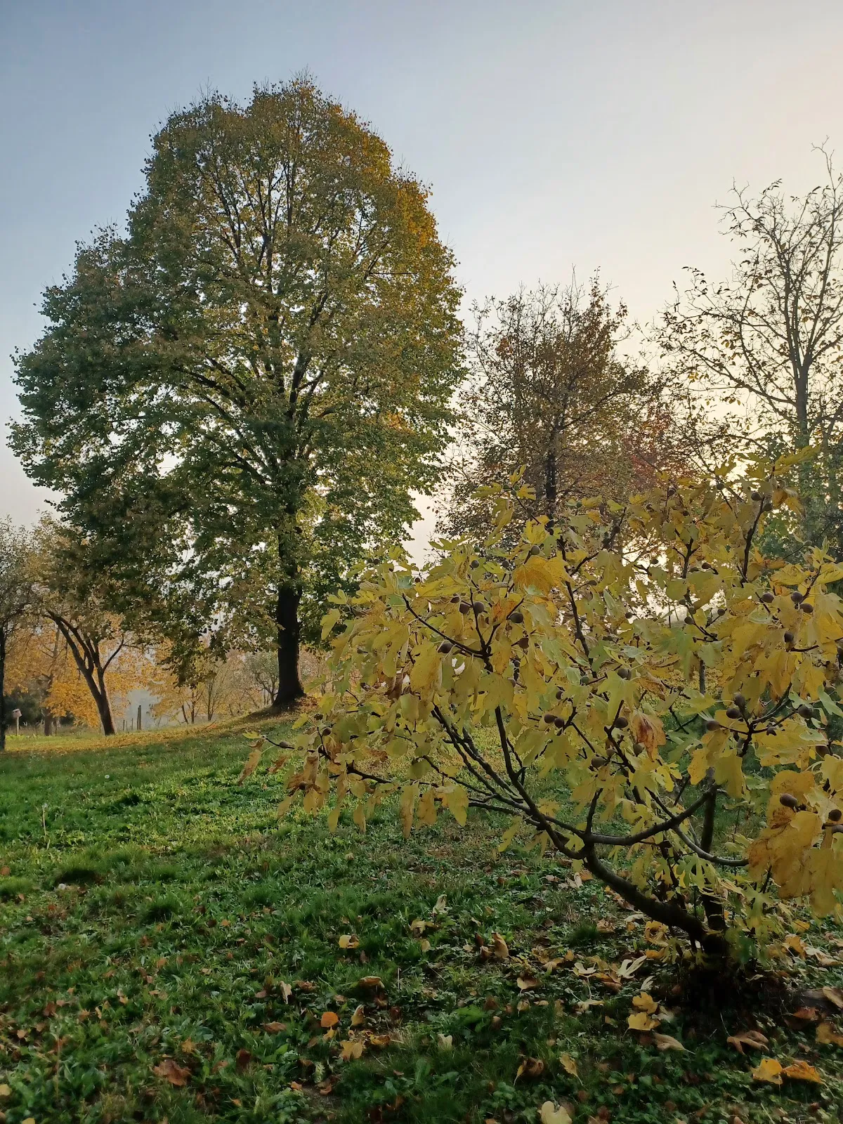 Fotografija lokacije Općina Orehovica (Općina).