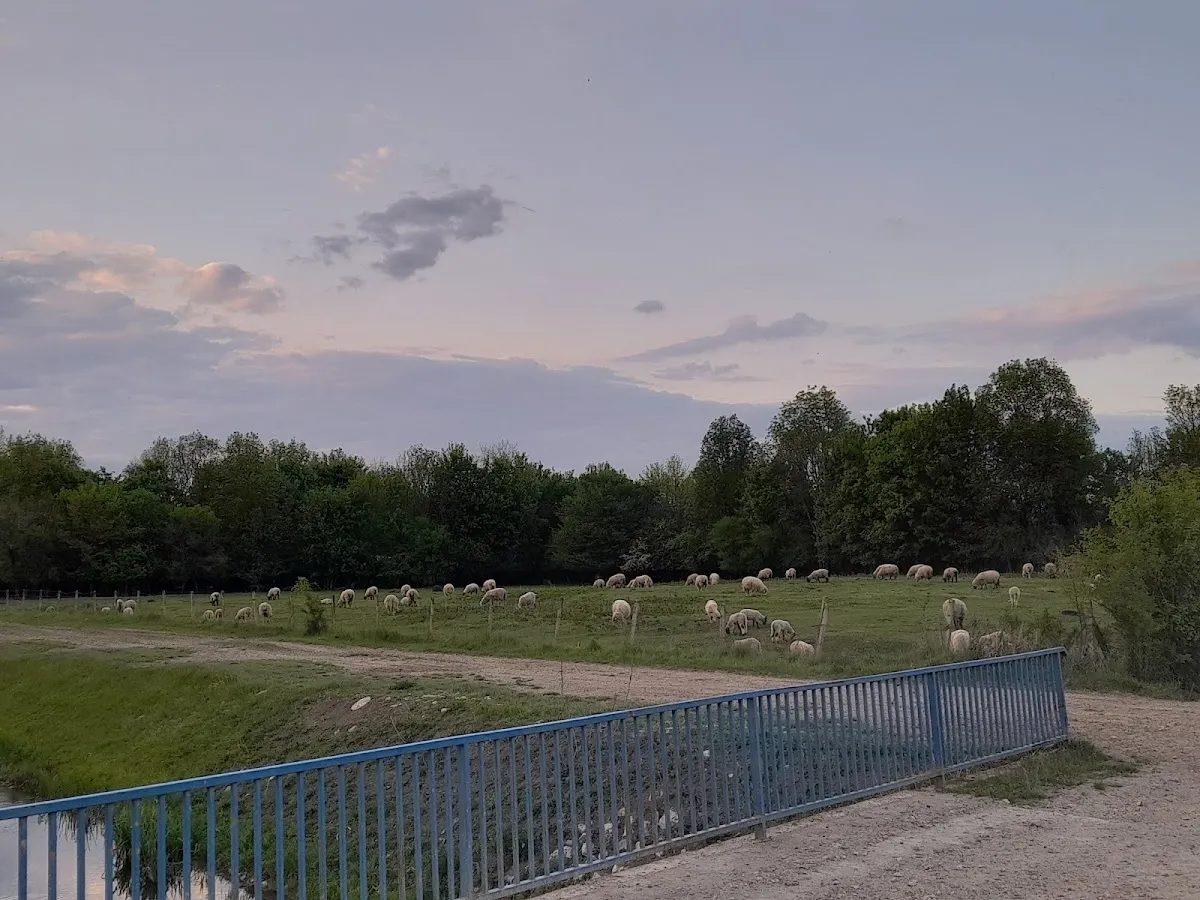 Fotografija lokacije Općina Orle (Općina).
