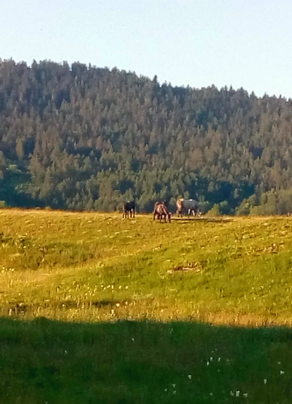 Fotografija lokacije Općina Vrhovine (Općina).
