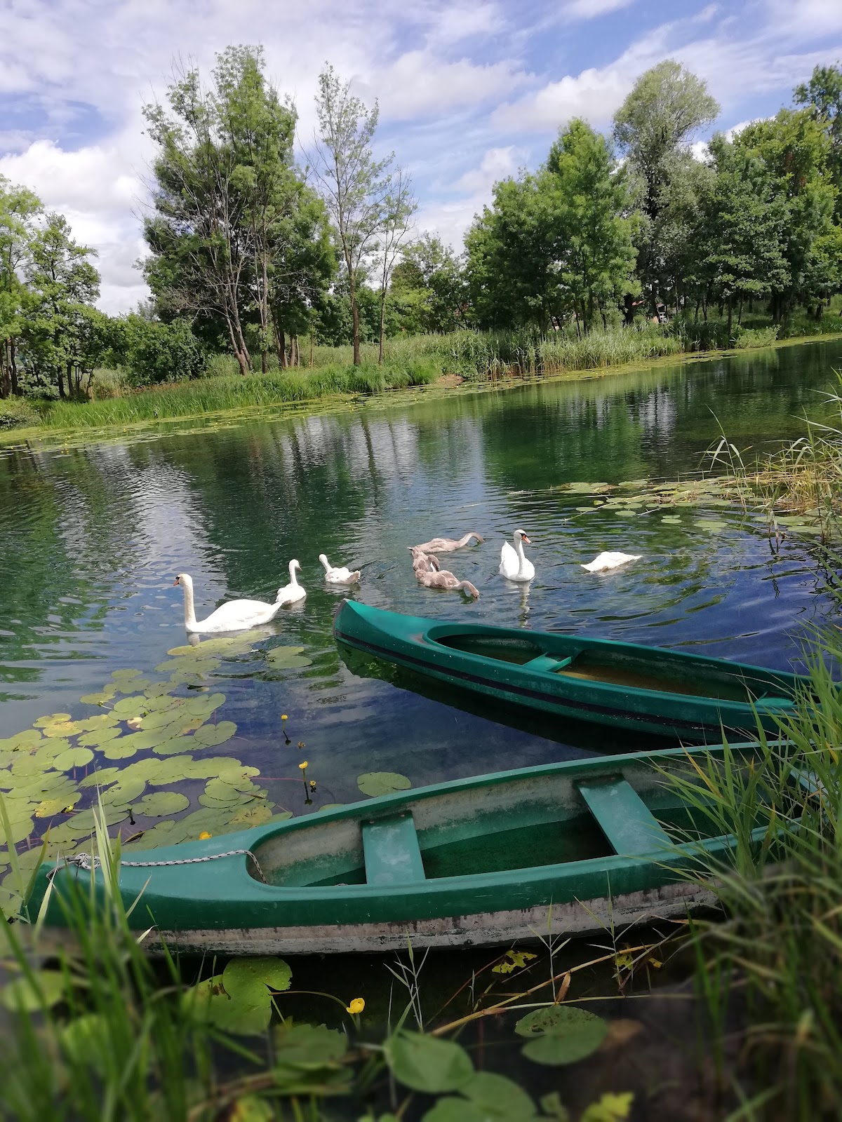 Fotografija lokacije Grad Duga Resa (Grad).
