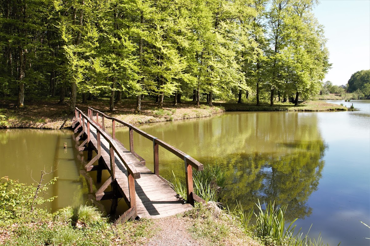 Fotografija lokacije Grad Grubišno Polje (Grad).