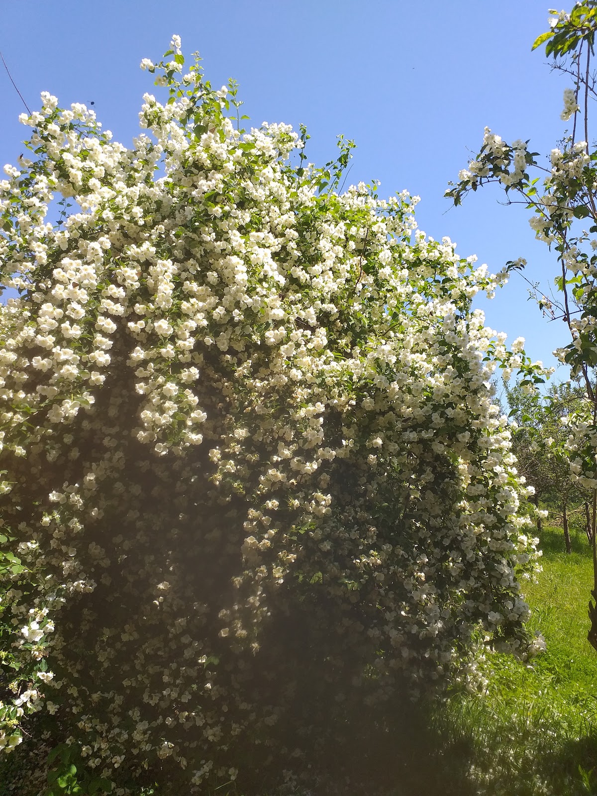 Fotografija lokacije Općina Breznica (Općina).