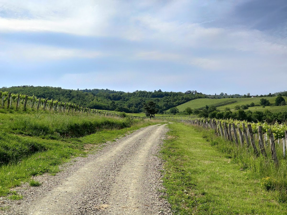 Fotografija lokacije Općina Brodski Stupnik (Općina).
