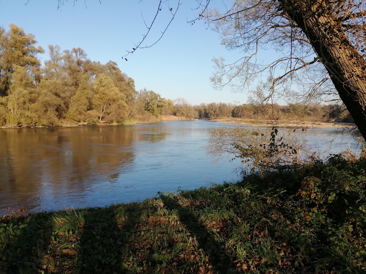 Fotografija lokacije Općina Dekanovec (Općina).
