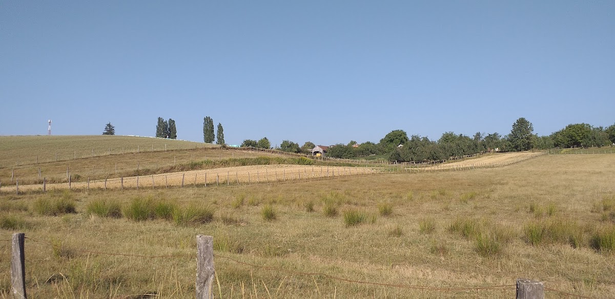 Fotografija lokacije Općina Dežanovac (Općina).