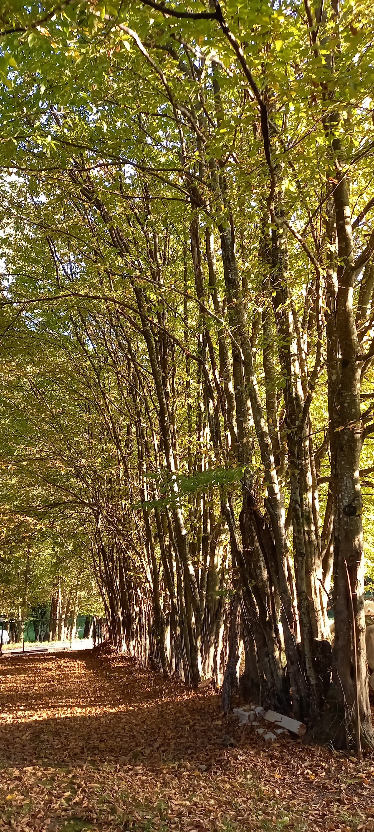 Fotografija lokacije Općina Đulovac (Općina).