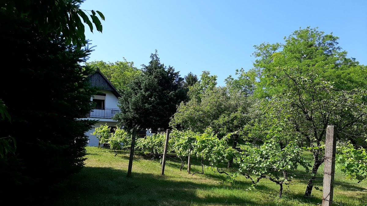 Fotografija lokacije Općina Draž (Općina).