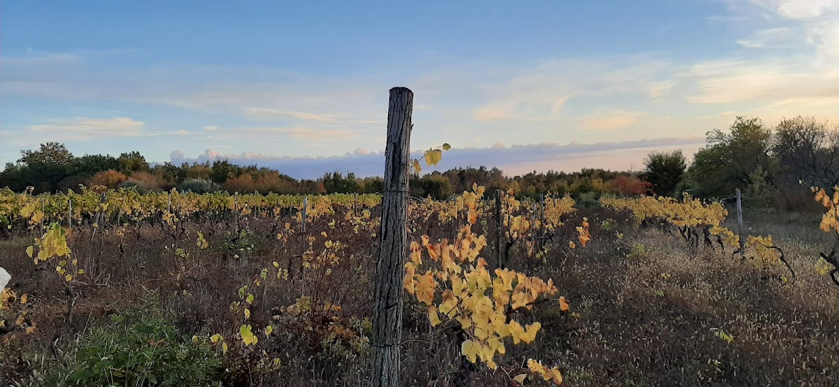 Fotografija lokacije Općina Kaštelir-Labinci-Castelliere-S. Domenica (Općina).