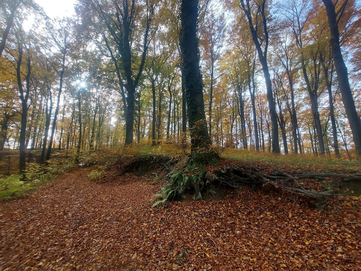 Fotografija lokacije Općina Koprivnički Bregi (Općina).