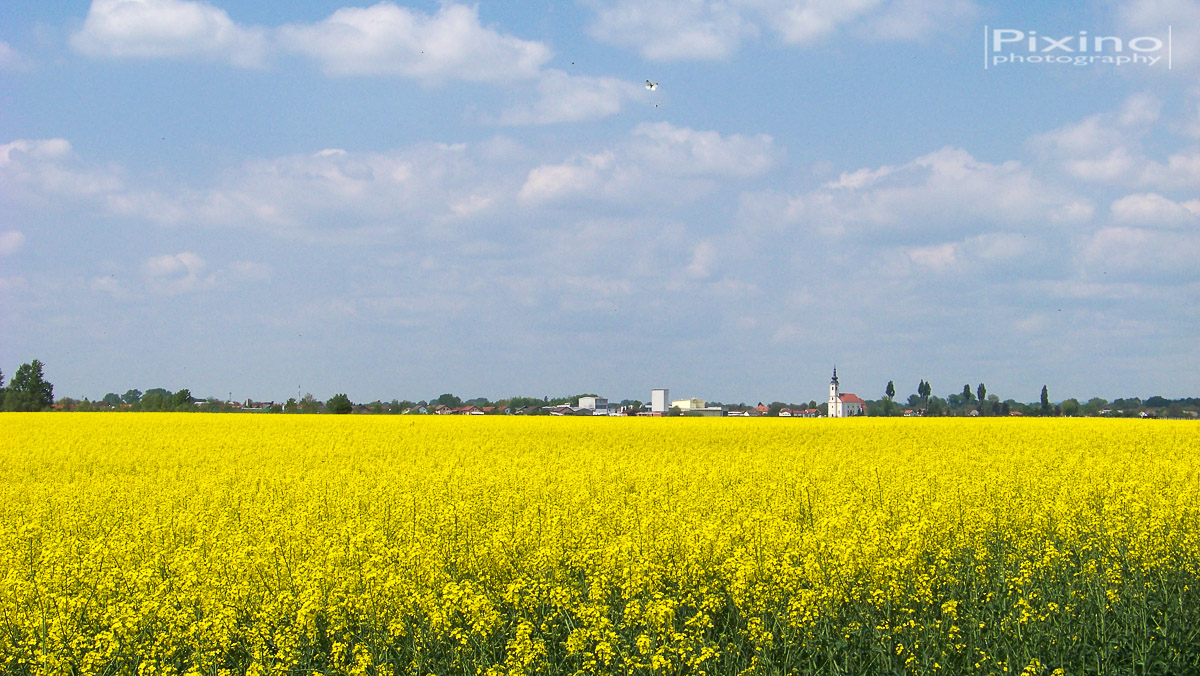 Fotografija lokacije Općina Kotoriba (Općina).
