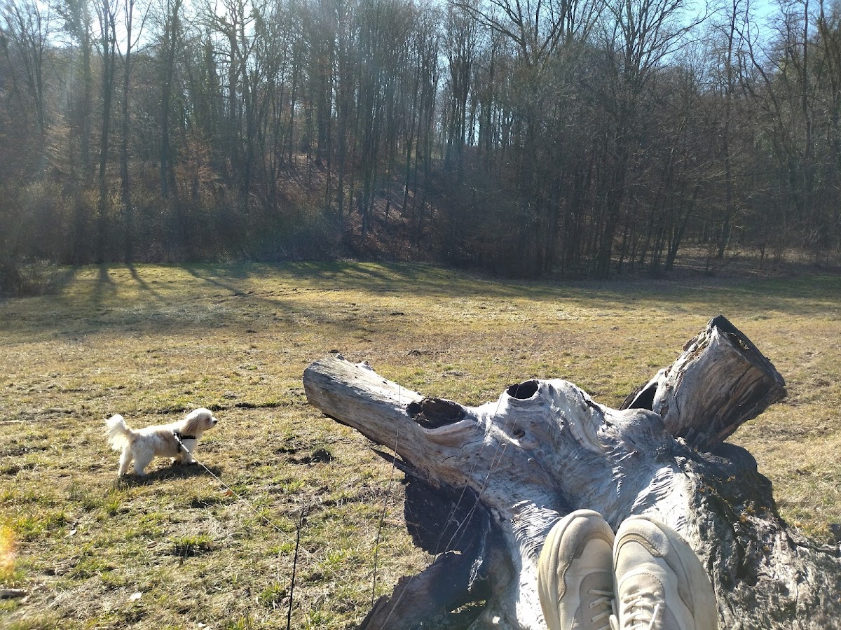 Fotografija lokacije Općina Luka (Općina).
