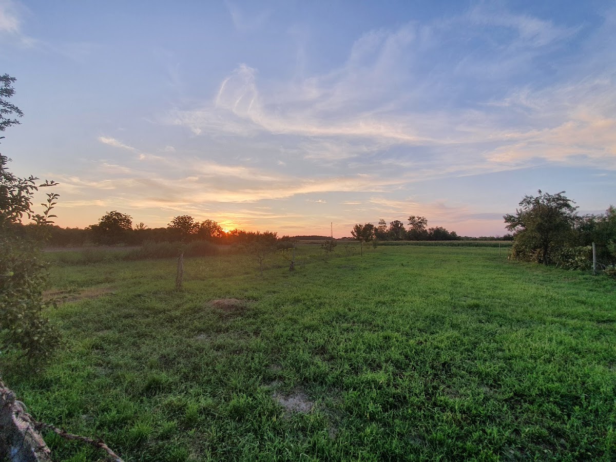 Fotografija lokacije Općina Markušica (Općina).