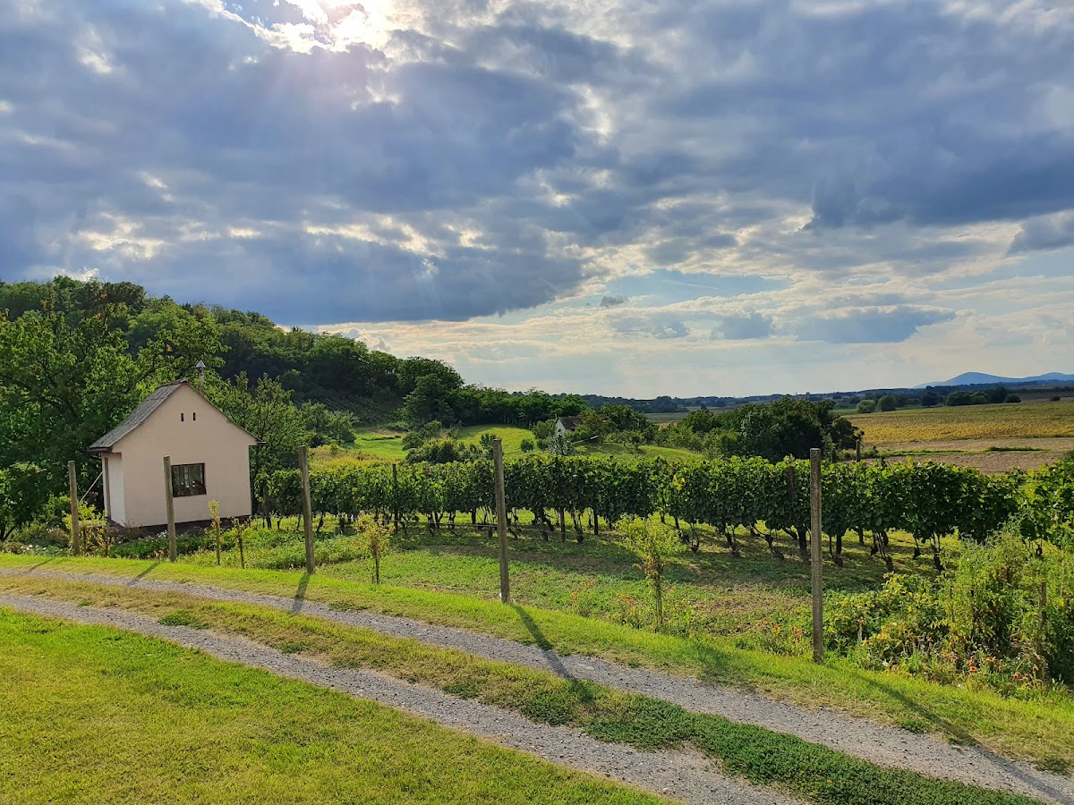 Fotografija lokacije Općina Popovac (Općina).