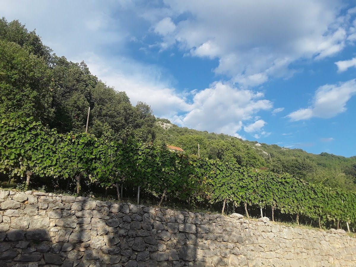 Fotografija lokacije Općina Proložac (Općina).
