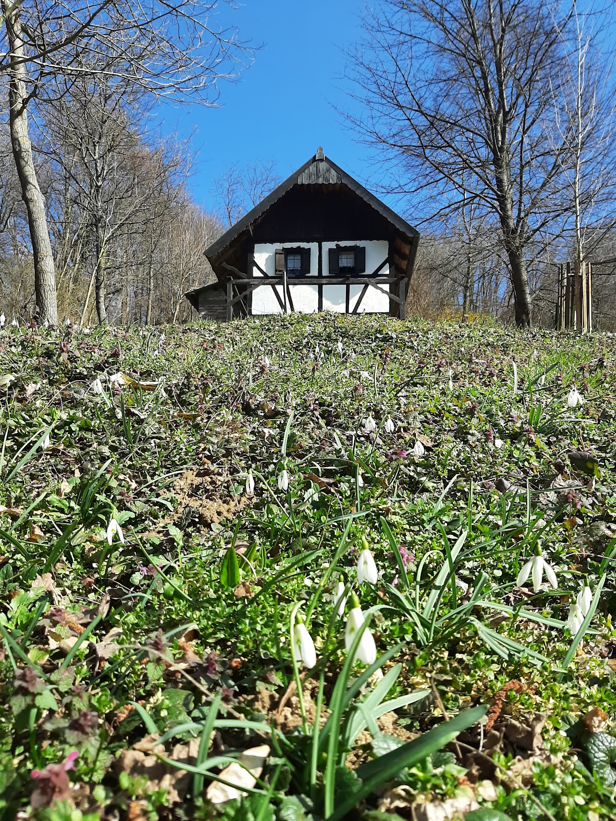 Fotografija lokacije Općina Rasinja (Općina).