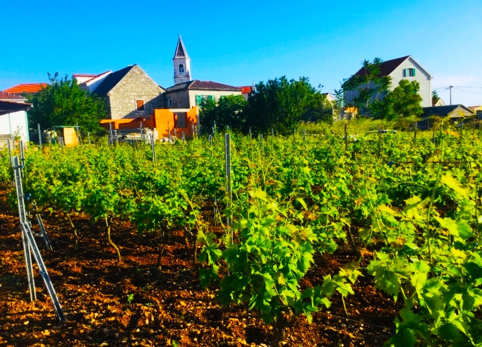 Fotografija lokacije Općina Šolta (Općina).
