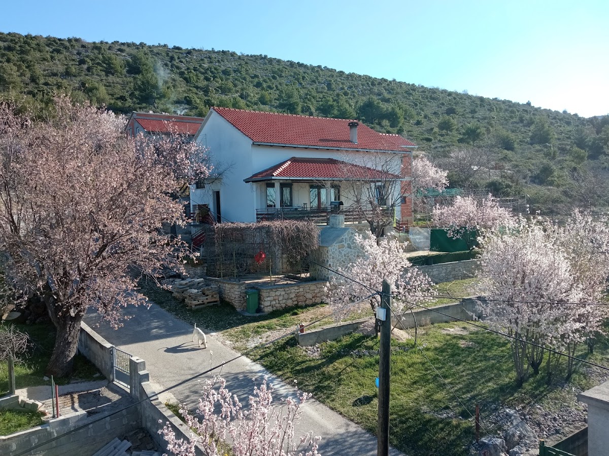 Fotografija lokacije Općina Stankovci (Općina).