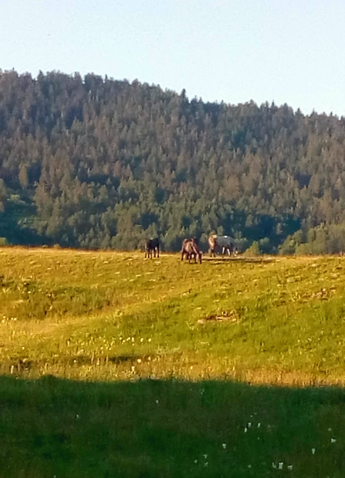 Fotografija lokacije Općina Vrhovine (Općina).